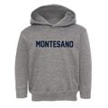Montesano Washington Classic Block Toddler Hoodie additional view 1