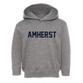 Amherst Massachusetts Classic Block Toddler Hoodie additional view 1