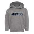Antwerp Ohio Classic Block Toddler Hoodie additional view 1