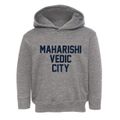 Maharishi Vedic City Iowa Classic Block Toddler Hoodie additional view 1