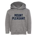 Mount Pleasant Wisconsin Classic Block Toddler Hoodie additional view 1