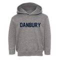 Danbury Iowa Classic Block Toddler Hoodie additional view 1