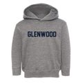 Glenwood Washington Classic Block Toddler Hoodie additional view 1
