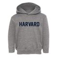Harvard Illinois Classic Block Toddler Hoodie additional view 1