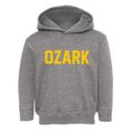 Ozark Arkansas Classic Block Toddler Hoodie additional view 1