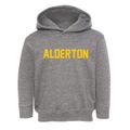Alderton Washington Classic Block Toddler Hoodie additional view 1