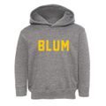 Blum Texas Classic Block Toddler Hoodie additional view 1