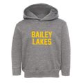 Bailey Lakes Ohio Classic Block Toddler Hoodie additional view 1