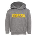 Odessa Delaware Classic Block Toddler Hoodie additional view 1
