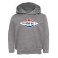 Fountain Hills Arizona Diamond Star Toddler Hoodie additional view 1