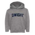 Dwight Illinois Classic Curve Toddler Hoodie additional view 1