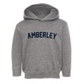 Amberley Ohio Classic Curve Toddler Hoodie additional view 1
