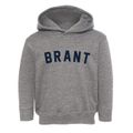 Brant New York Classic Curve Toddler Hoodie additional view 1