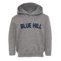 Blue Hill Nebraska Classic Curve Toddler Hoodie additional view 1