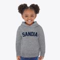 Sandia Texas Classic Curve Toddler Hoodie additional view 2