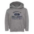 Bellmont Illinois Athletic Dept Toddler Hoodie additional view 1