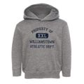 Williamstown Massachusetts Athletic Dept Toddler Hoodie additional view 1
