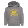 Fairview Ohio Athletic Dept Toddler Hoodie additional view 1