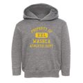 Waseca Minnesota Athletic Dept Toddler Hoodie additional view 1
