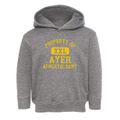 Ayer Massachusetts Athletic Dept Toddler Hoodie additional view 1