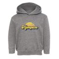Hampton Virginia Sublime Sunset Toddler Hoodie additional view 1