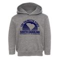 South Carolina Sunset Toddler Hoodie additional view 1
