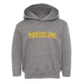 Brookline Massachusetts Timeless Retro Toddler Hoodie additional view 1