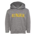 Alberta Minnesota Timeless Retro Toddler Hoodie additional view 1