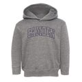 Camden New York Trendy Block Toddler Hoodie additional view 1