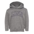 Linn Missouri Trendy Block Toddler Hoodie additional view 1
