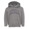 Exira Iowa Trendy Block Toddler Hoodie additional view 1