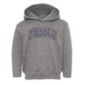 Nemacolin Pennsylvania Trendy Block Toddler Hoodie additional view 1