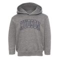 Hudson Massachusetts Trendy Block Toddler Hoodie additional view 1