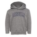 Cainsville Missouri Trendy Block Toddler Hoodie additional view 1