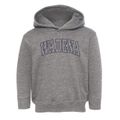 Wadena Iowa Trendy Block Toddler Hoodie additional view 1