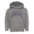 Elmdale Kansas Trendy Block Toddler Hoodie additional view 1