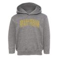 West Union Ohio Trendy Block Toddler Hoodie additional view 1
