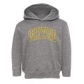 Whiting Wisconsin Trendy Block Toddler Hoodie additional view 1