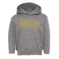 Everly Iowa Trendy Block Toddler Hoodie additional view 1