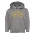 Akins Oklahoma Trendy Block Toddler Hoodie additional view 1