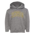 Kinde Michigan Trendy Block Toddler Hoodie additional view 1