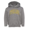 Sterling Utah Trendy Block Toddler Hoodie additional view 1