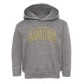 Ames Nebraska Trendy Block Toddler Hoodie additional view 1
