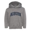 Auburn New Hampshire Varsity Toddler Hoodie additional view 1