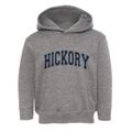 Hickory Pennsylvania Varsity Toddler Hoodie additional view 1