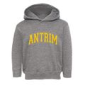 Antrim New Hampshire Varsity Toddler Hoodie additional view 1