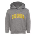 Columbia Tennessee Varsity Toddler Hoodie additional view 1
