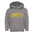 Amity Arkansas Varsity Toddler Hoodie additional view 1