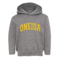 Oneida Illinois Varsity Toddler Hoodie additional view 1