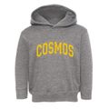 Cosmos Minnesota Varsity Toddler Hoodie additional view 1
